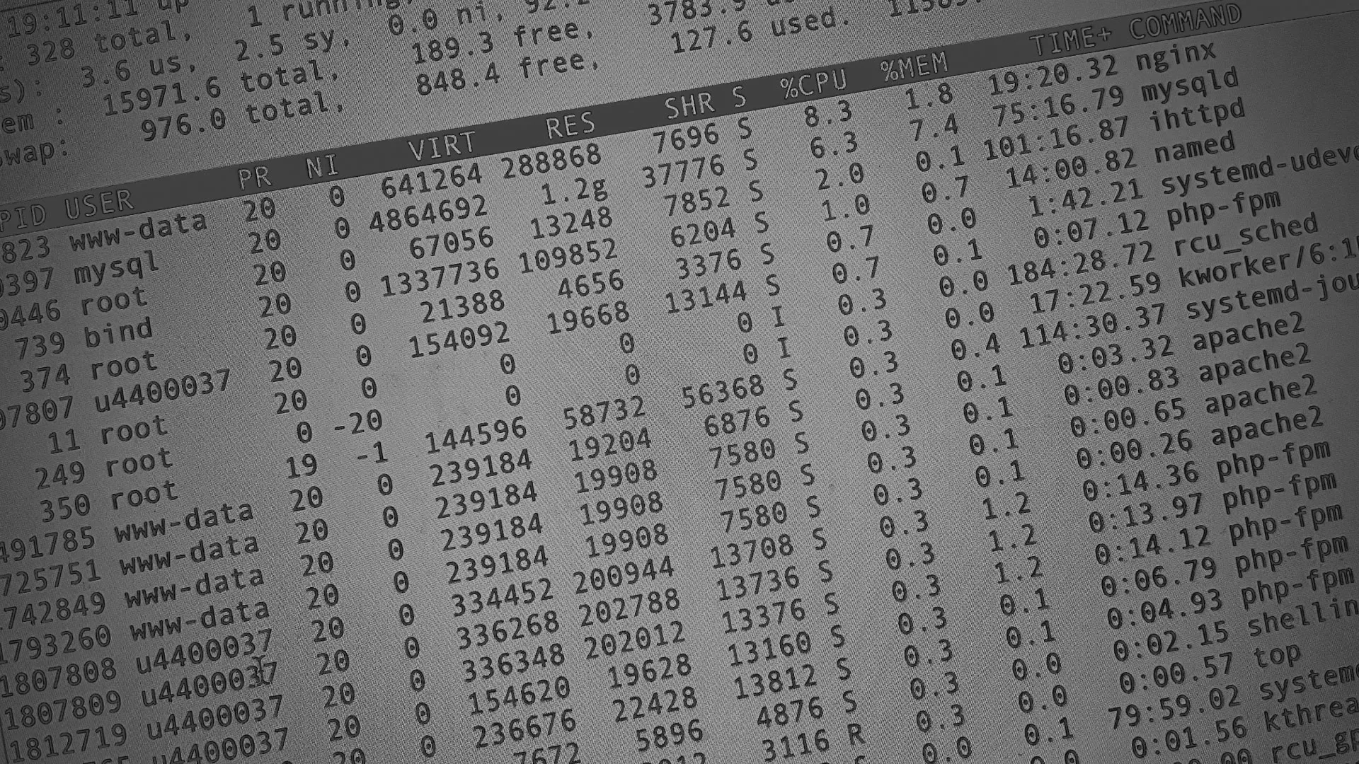 Настройка сервера в Вологде