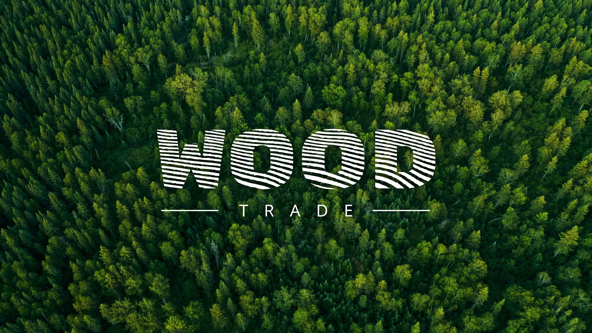 Разработка интернет-магазина компании «Wood Trade» в Вологде