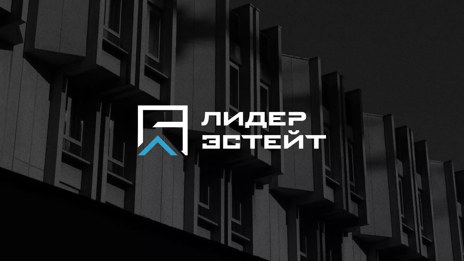 Разработка логотипа агентства недвижимости «Лидер Эстейт» в Вологде